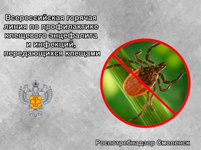 ИНФОРМАЦИЯ ИНФОРМАЦИЯ.